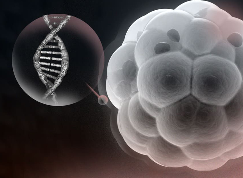 PGS (Pre-implantation Genetic Screening)